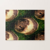 Agouti Guinea Pig in Grass Legpuzzel (Horizontaal)