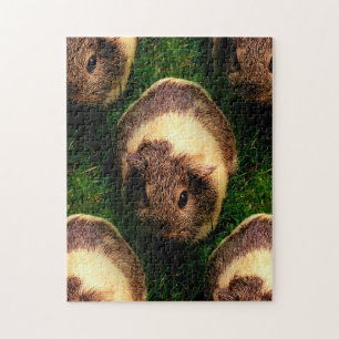 Agouti Guinea Pig in Grass Legpuzzel