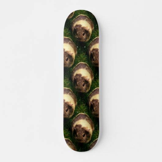 Agouti Guinea Pig in Grass Persoonlijk Skateboard (Voorkant)