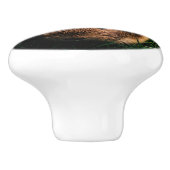 Agouti Guinee Varkens in de gras Keramische Knop (Zijkant)