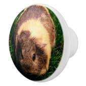 Agouti Guinee Varkens in de gras Keramische Knop (Rechts)