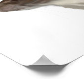 Agouti Hooded Rat Poster (Hoek)