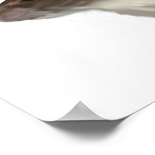 Agouti Hooded Rat Poster (Hoek)