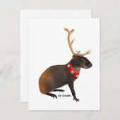 Agouti - kerstkaart (Voorkant / Achterkant)