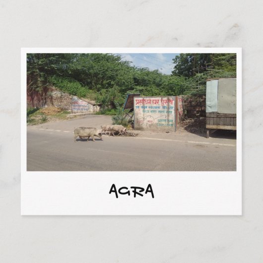 Agra, Uttar Pradesh (India) Briefkaart (Voorkant)