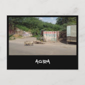 Agra, Uttar Pradesh (India) Briefkaart (Voorkant)