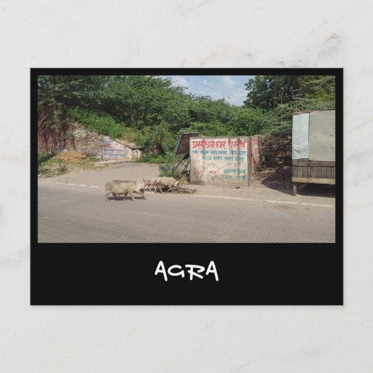 Agra, Uttar Pradesh (India) Briefkaart (Voorkant)