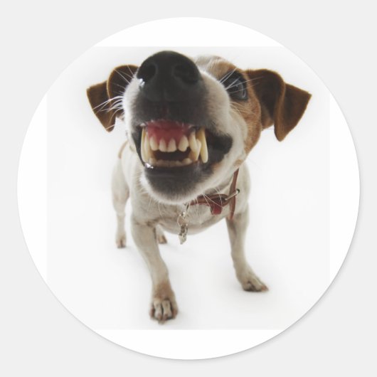 agressief ronde sticker (Voorkant)