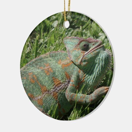 Agressieve Chameleon Ornament (Links)