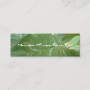 Agriculture Manager Visitekaartje