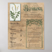 Agrimony Herbal Book of Shadows Pagan Wiccan Poster (Voorkant)