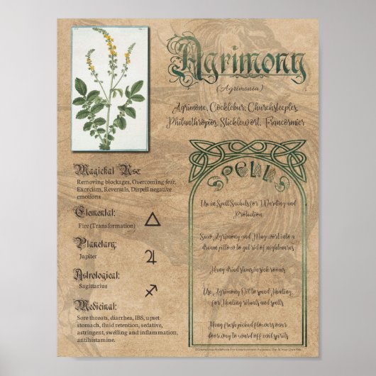 Agrimony Herbal Book of Shadows Pagan Wiccan Poster (Voorkant)