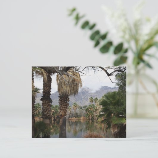 Agua Caliente Park Tucson Az Briefkaart (Staand voorkant)