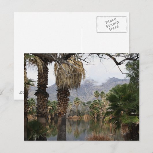 Agua Caliente Park Tucson Az Briefkaart (Voorkant / Achterkant)