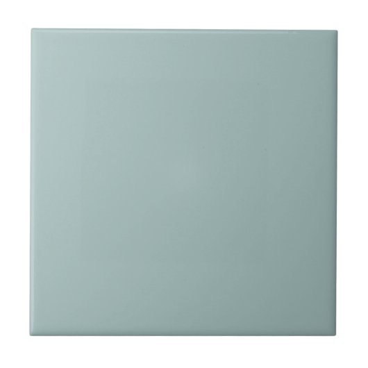 Agua Verde Turquoise Square Kitchen en Bathroom Tegeltje (Voorkant)