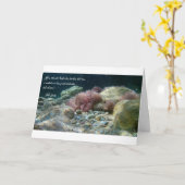 Aguas Antiguas Tarjeta - Taak 38:16 Kaart (Gele Bloem)