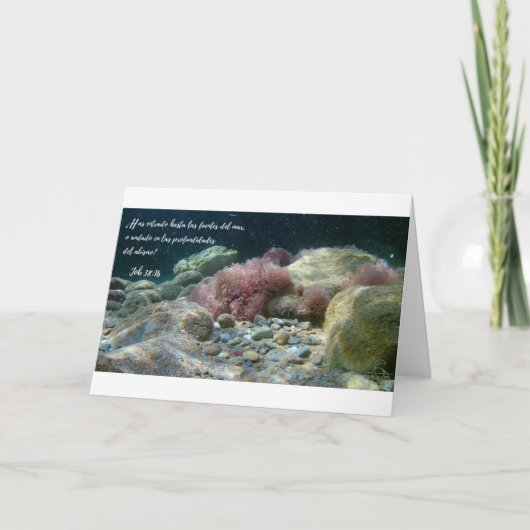 Aguas Antiguas Tarjeta - Taak 38:16 Kaart (Voorkant)