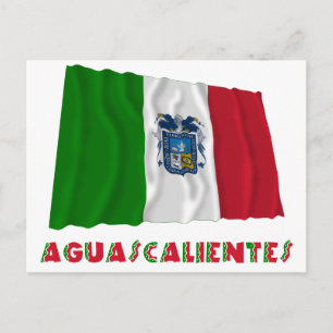 Aguascalientes Waving Unofficial Flag Briefkaart