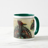 Àguila Sol Mok (Voorkant rechts)