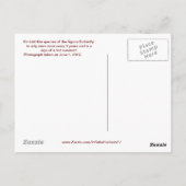 Aguna Butterfly Briefkaart #2 (Achterkant)
