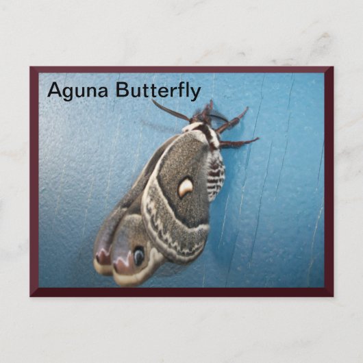 Aguna Butterfly Briefkaart #2 (Voorkant)