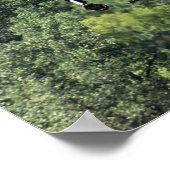 AH-64D Apache Helikopter Poster (Hoek)