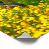 AH-64E APACHE GUARDIAN POSTER (Hoek)