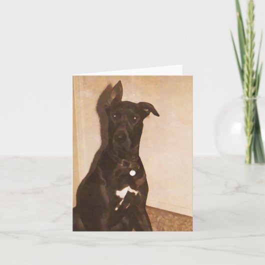 AH- de Hond Notecards van great dane of Kaart (Voorkant)