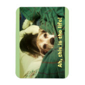 "Ah, dit is het leven!" Beagle 3x4 koelkastmagneet Magneet (Verticaal)