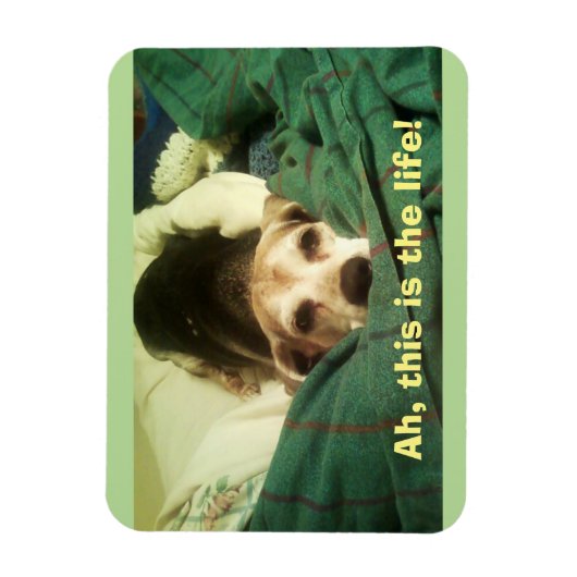 "Ah, dit is het leven!" Beagle 3x4 koelkastmagneet Magneet (Verticaal)