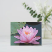 AH-Roze Briefkaart Lily Water (Staand voorkant)