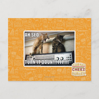 Ah Sed, zet het zachter!! Briefkaart