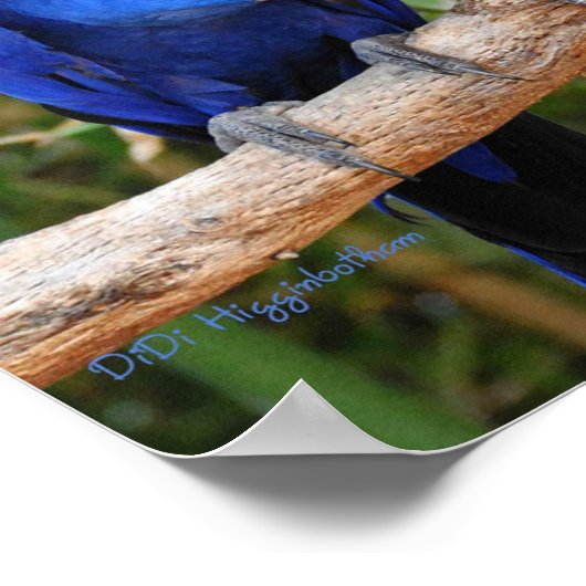 Ahh Rechts Poster (Hoek)