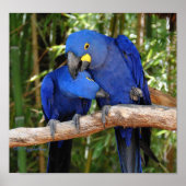 Ahh Rechts Poster (Voorkant)