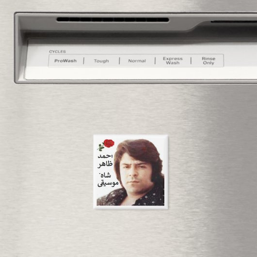 Ahmad Zahir Magneet (Insitu (Vaatwasser))