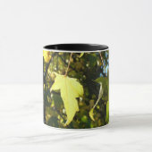 Ahornbladeren, herfst, herfst mok (Midden)