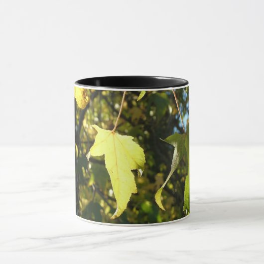 Ahornbladeren, herfst, herfst mok (Midden)