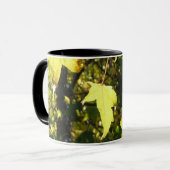 Ahornbladeren, herfst, herfst mok (Voorkant links)