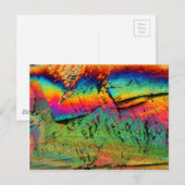 ahornstroop onder een microscoop briefkaart (Voorkant / Achterkant)
