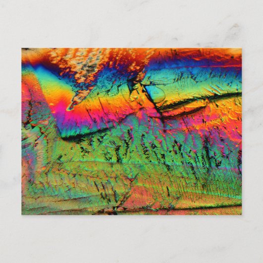 ahornstroop onder een microscoop briefkaart (Voorkant)