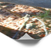 Ahornstroop Suiker Sap Emmer Op Boom Abstract Poster (Hoek)