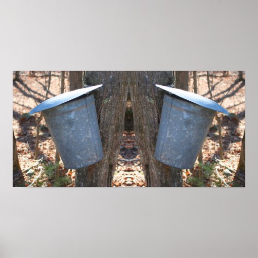 Ahornstroop Suiker Sap Emmer Op Boom Abstract Poster (Voorkant)