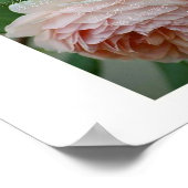 Ahsek Novel Caramel Poem van Ahsek Novel Poster (Hoek)