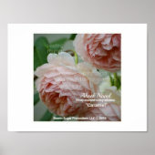 Ahsek Novel Caramel Poem van Ahsek Novel Poster (Voorkant)