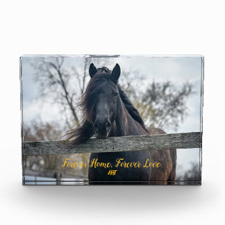 AHT-fotoblok Fotoblokken