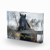 AHT-fotoblok Fotoblokken (Rechts)