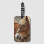 AHT Horse Rescue Bagagelabel (Voorkant (verticaal))