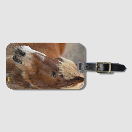 AHT Horse Rescue Bagagelabel (Voorkant (horizontaal))
