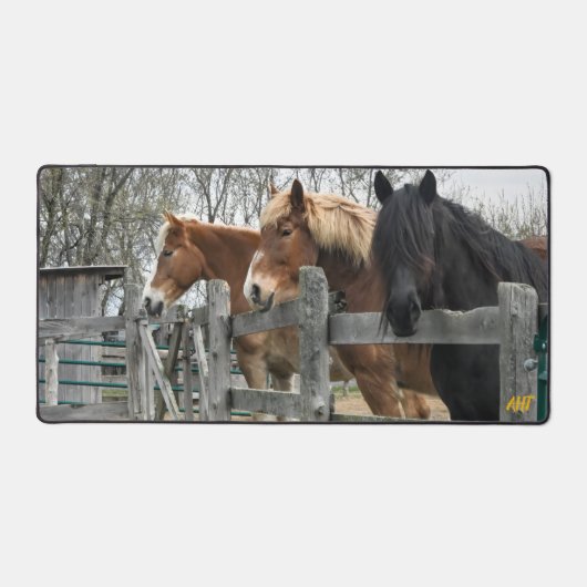 AHT Horse Rescue Bureaumat (Voorkant)