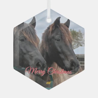 AHT Horse Rescue Glas Ornament